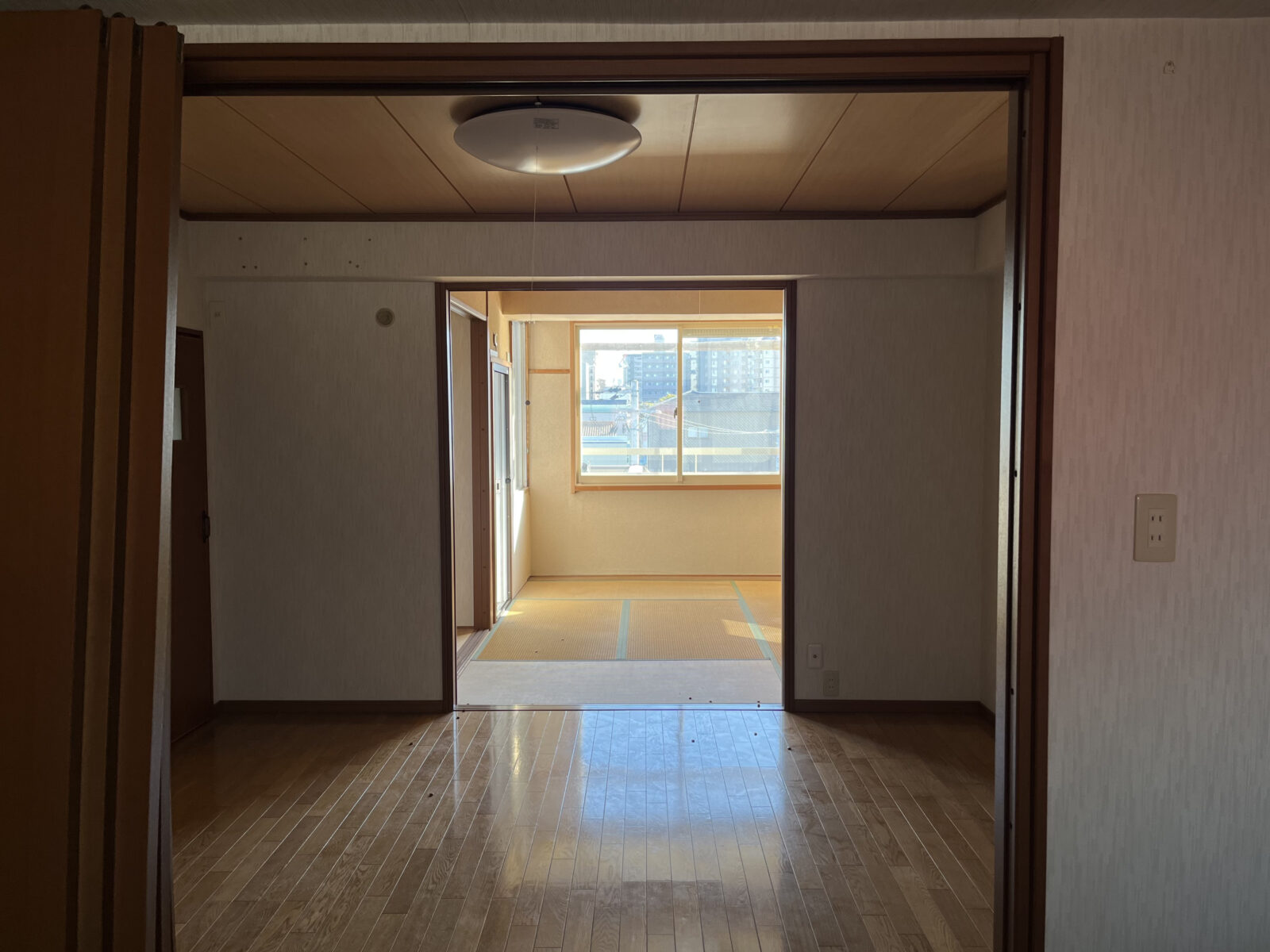 入社後一年目でマンションリノベに挑戦!?